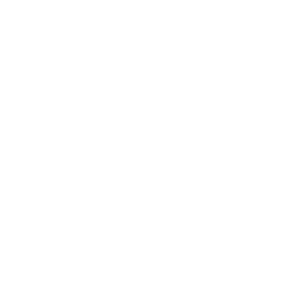 Icon öffentliche Verwaltung