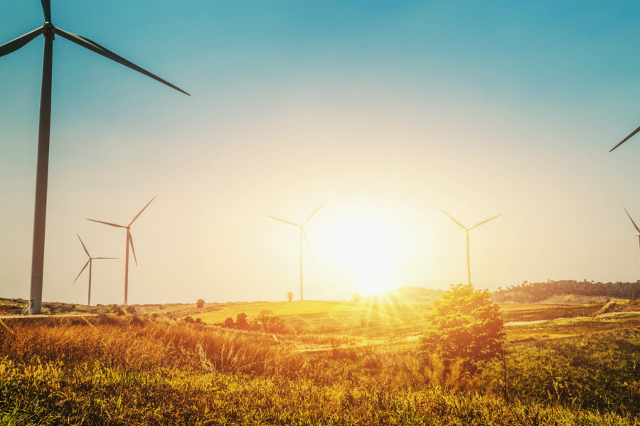 Windkrafträder in einer grünen Landschaft